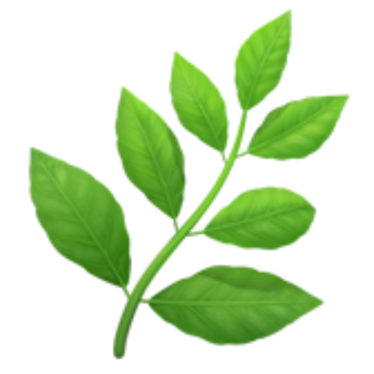 mint leaf icon