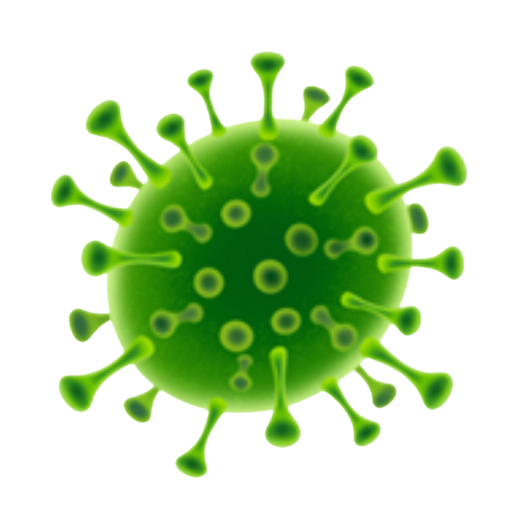 bacteria icon