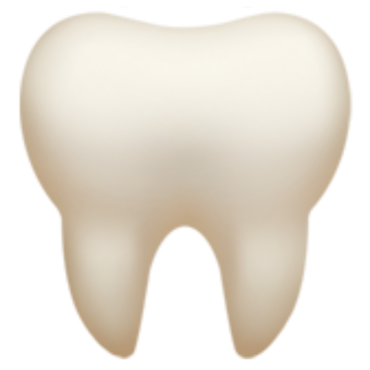 tooth icon